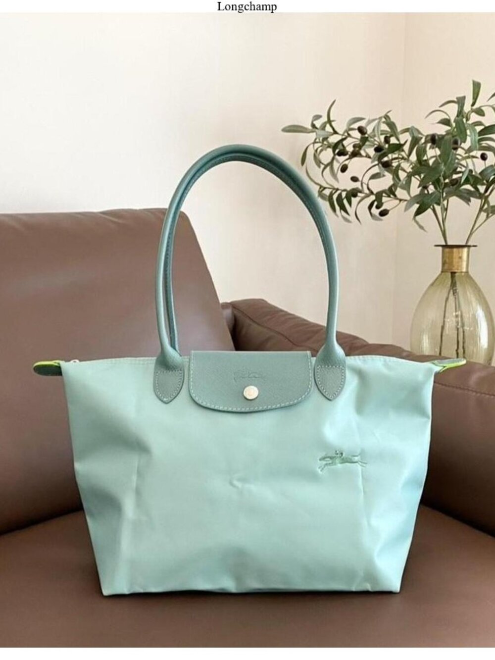 Longchamp women's bags